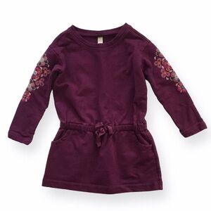 Tea girls sweatshirt dress embroidered  5